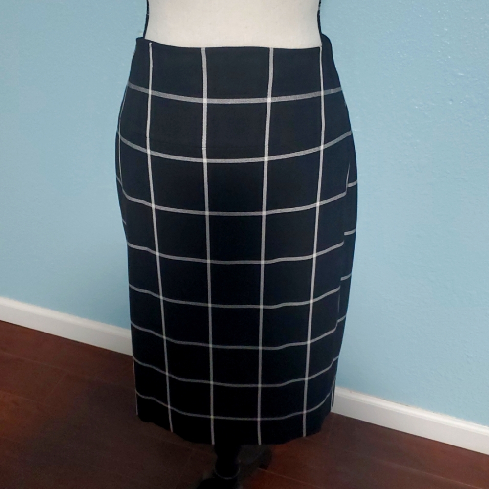 Express pencil skirt size 2